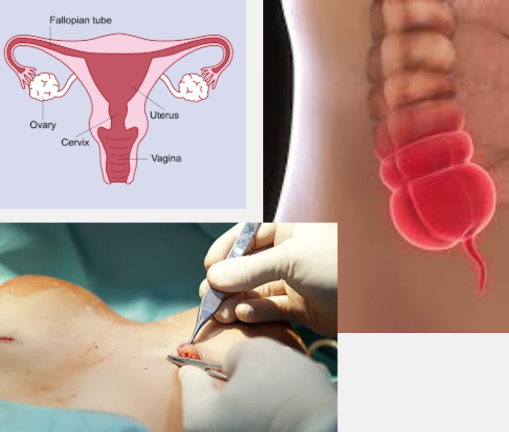 Treatments Offered