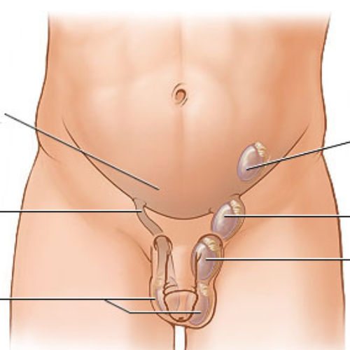 Dr. Prasenjeet Kumar Mondal Dr. Prasenjeet Kumar Mondal